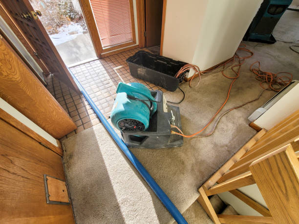 Best Water damage cleanup near me  in Norwalk, CT