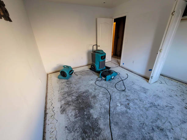 Best Mold removal after water damage  in Norwalk, CT