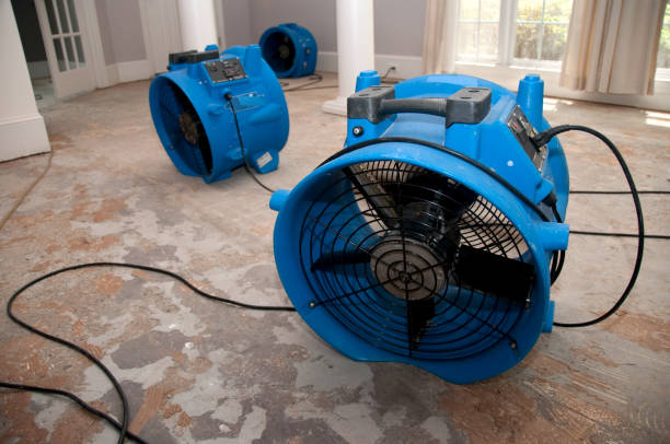 Best 24-hour water damage restoration  in Norwalk, CT
